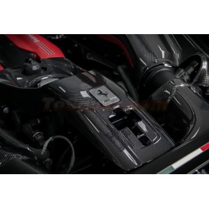 Ferrari 488 GTB Dry Carbon Fiber Engine Bay Kit – Upgrade & Customization – Free Shipping