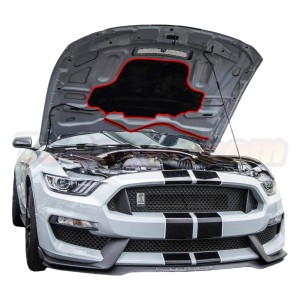 Mustang 2015-2017 GT350 OEM Style Aluminum Hood – Free Shipping