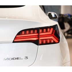 Upgrade Your 2019-2021 Tesla Model 3 with Full LED Tail Lights and Turn Signals | Plug-and-Play | Pair