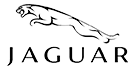 For Jaguar